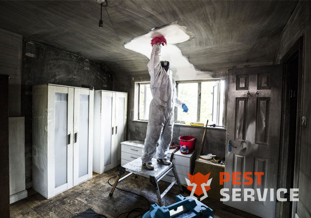 Профессиональная уборка помещений после пожара в Всеволжске от 2500 руб: удаление сажи, копоти и запаха гари, глубокая очистка поверхностей и восстановление чистоты. Быстро, безопасно и эффективно.